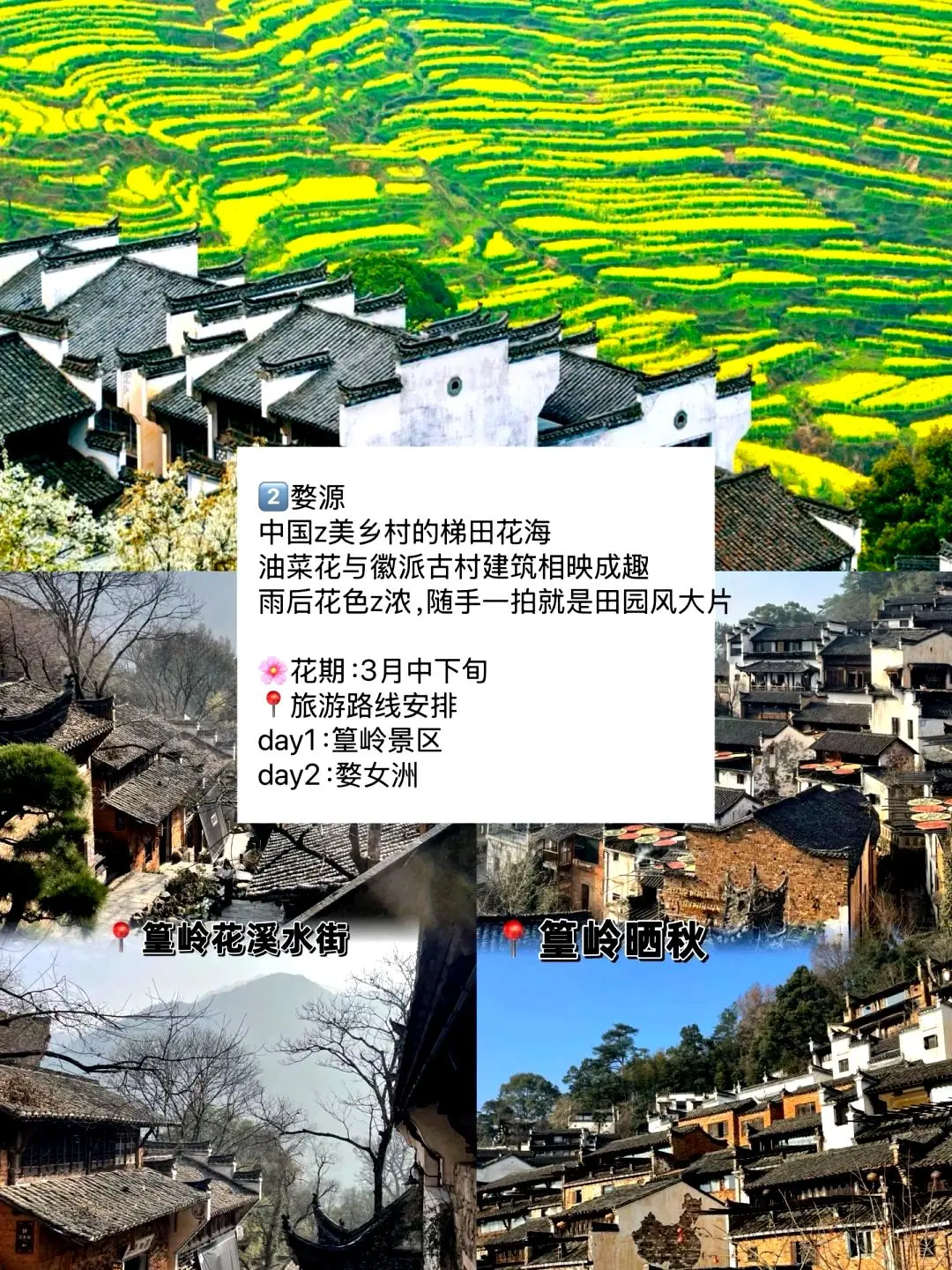 春游好去处🌼适合三到四月踏青的九座城市