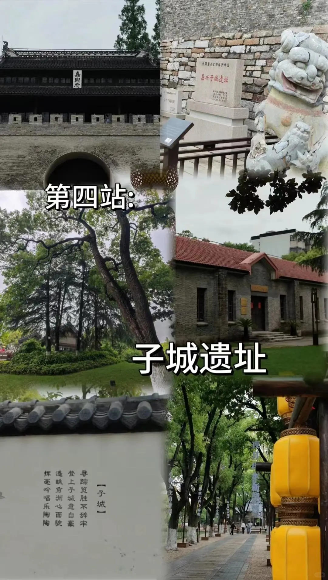 嘉兴乌镇穷游！大学生两天一夜攻略✨