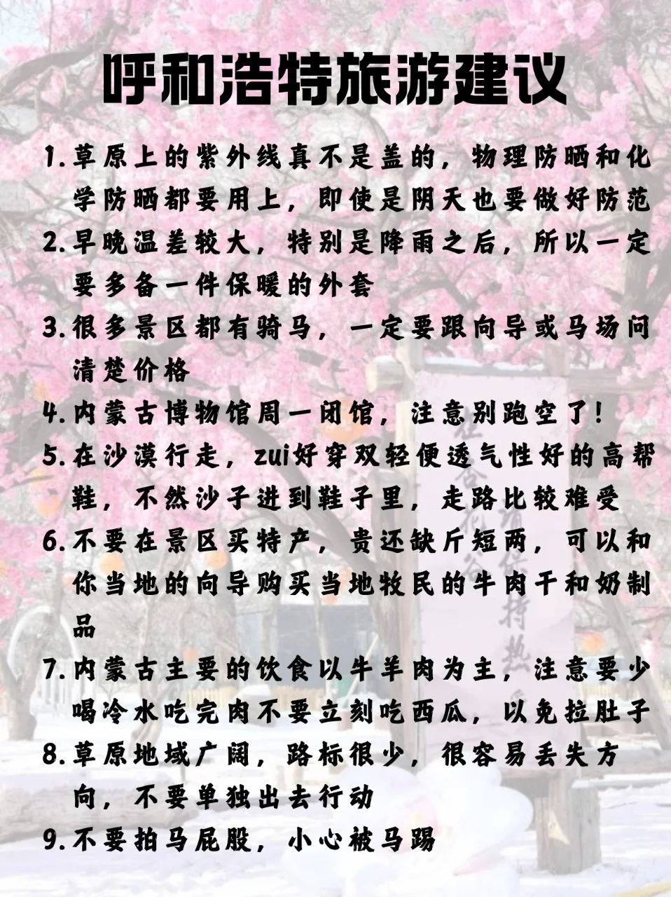 呼和浩特旅游攻略🔥第一次去🤔不会玩⁉