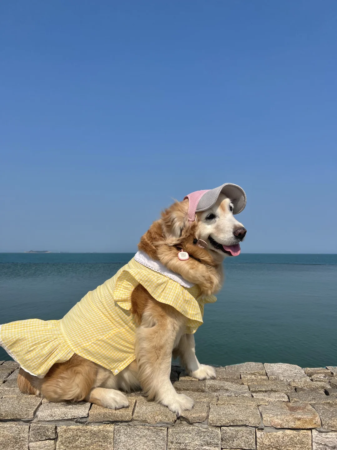 汕尾旅游景点攻略｜海上古堡｜古堡咖啡