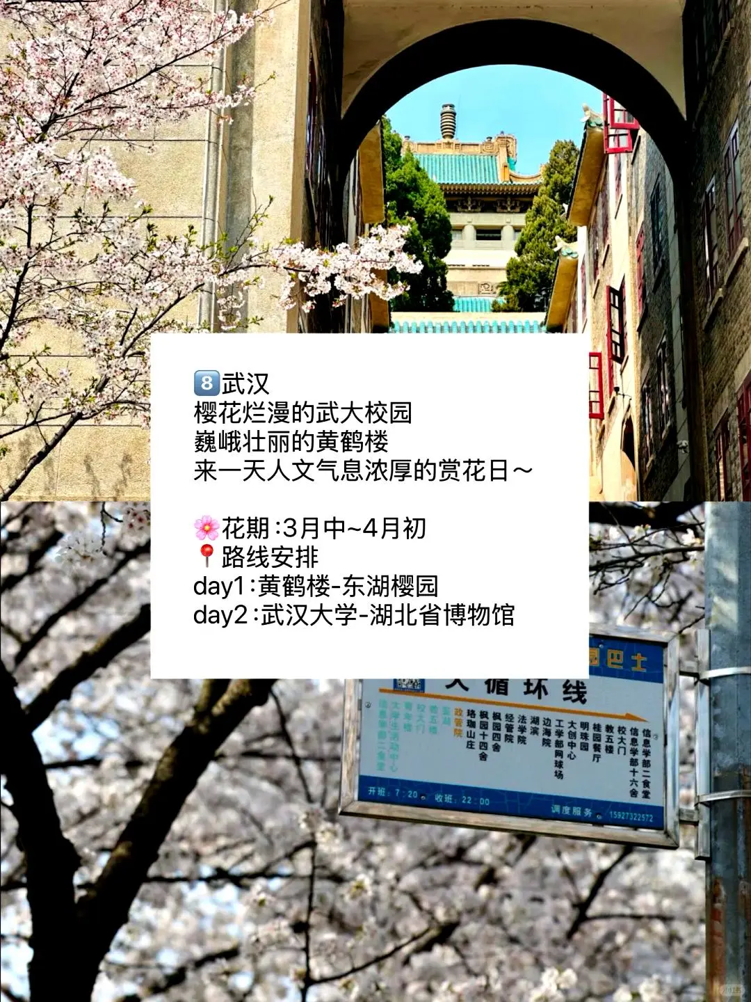 春游好去处🌼适合三到四月踏青的九座城市