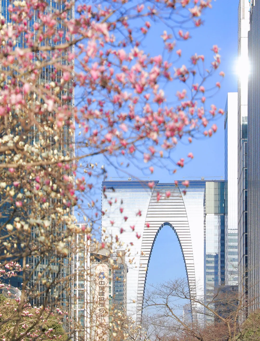 下个月的苏州，值得你专门来一趟……