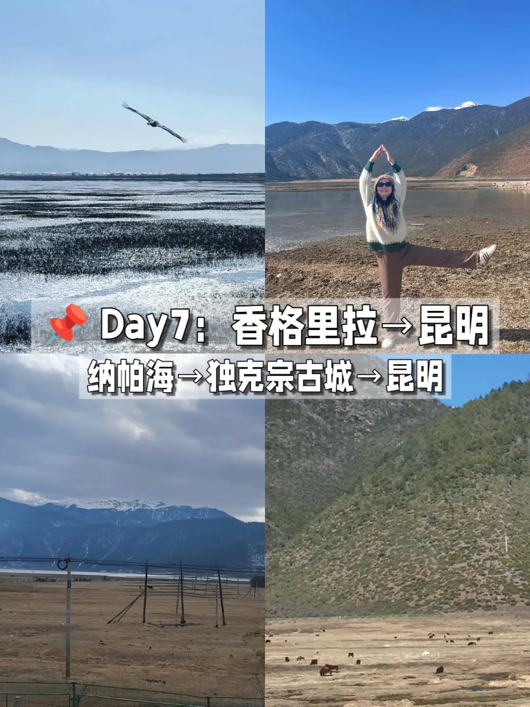 女大学生一人勇闯云南：八天七晚自由行攻略