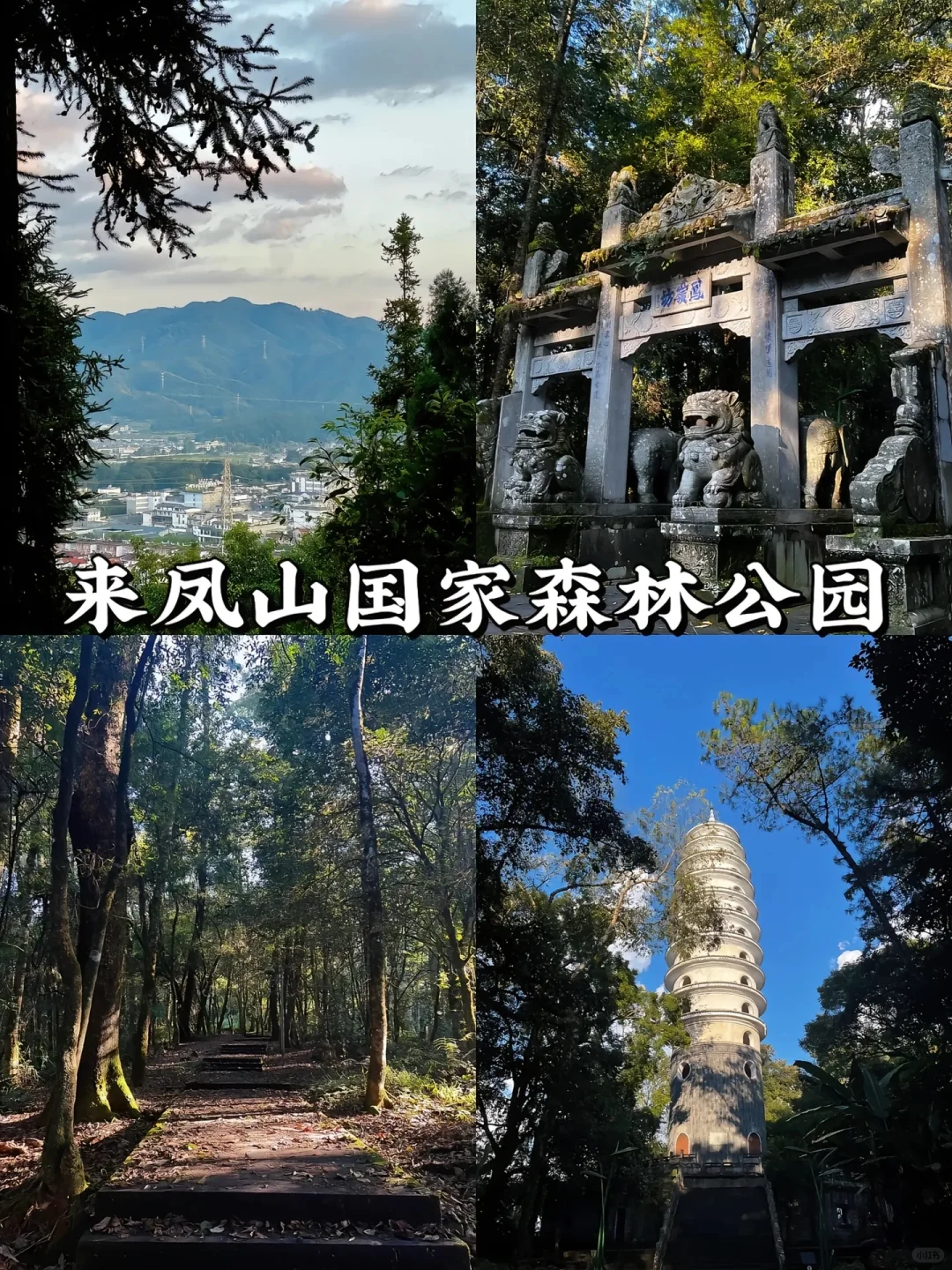 🌟 **腾冲旅游攻略｜人间秘境的小众玩法
