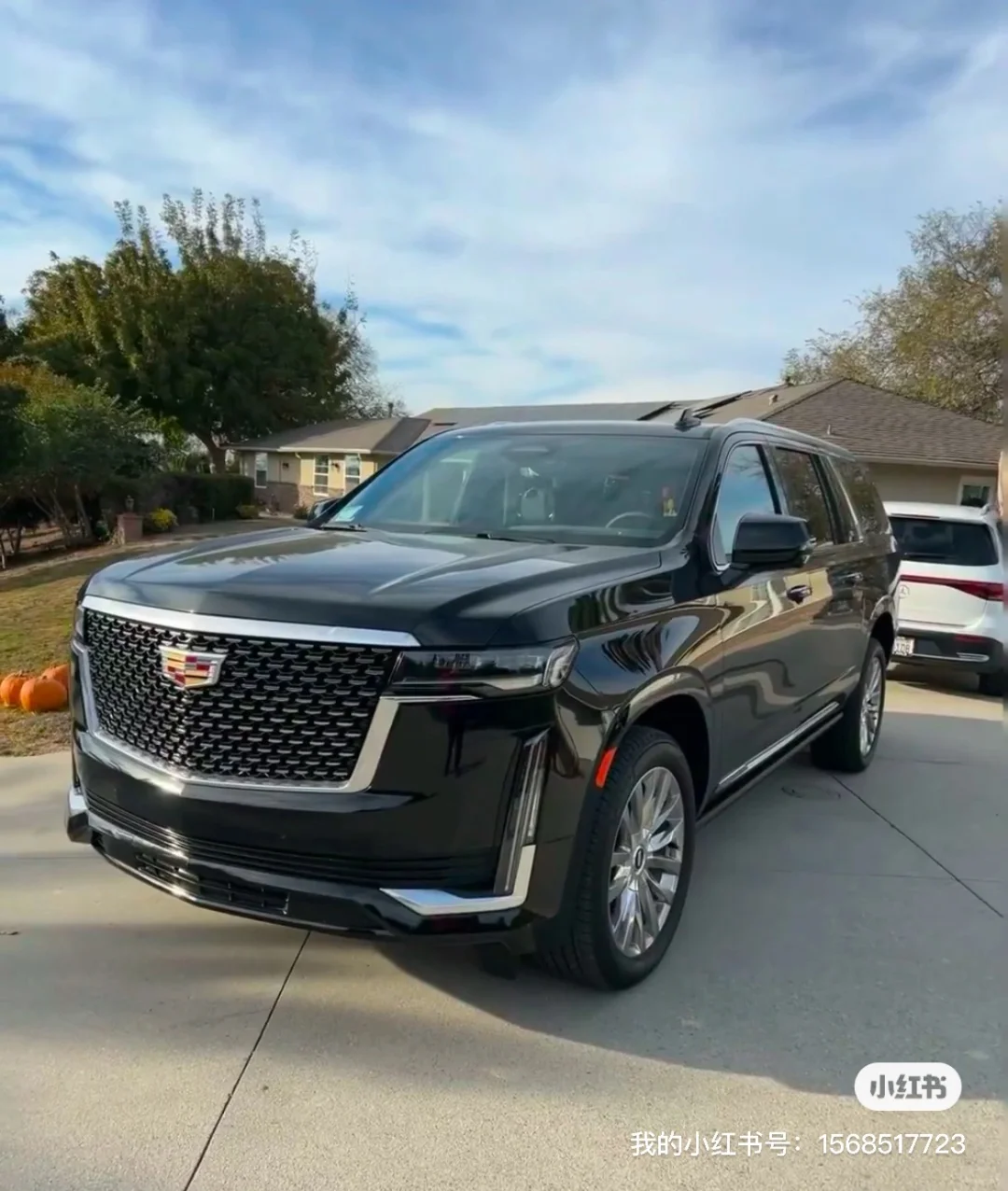 洛杉矶机场接送 商务旅游包车