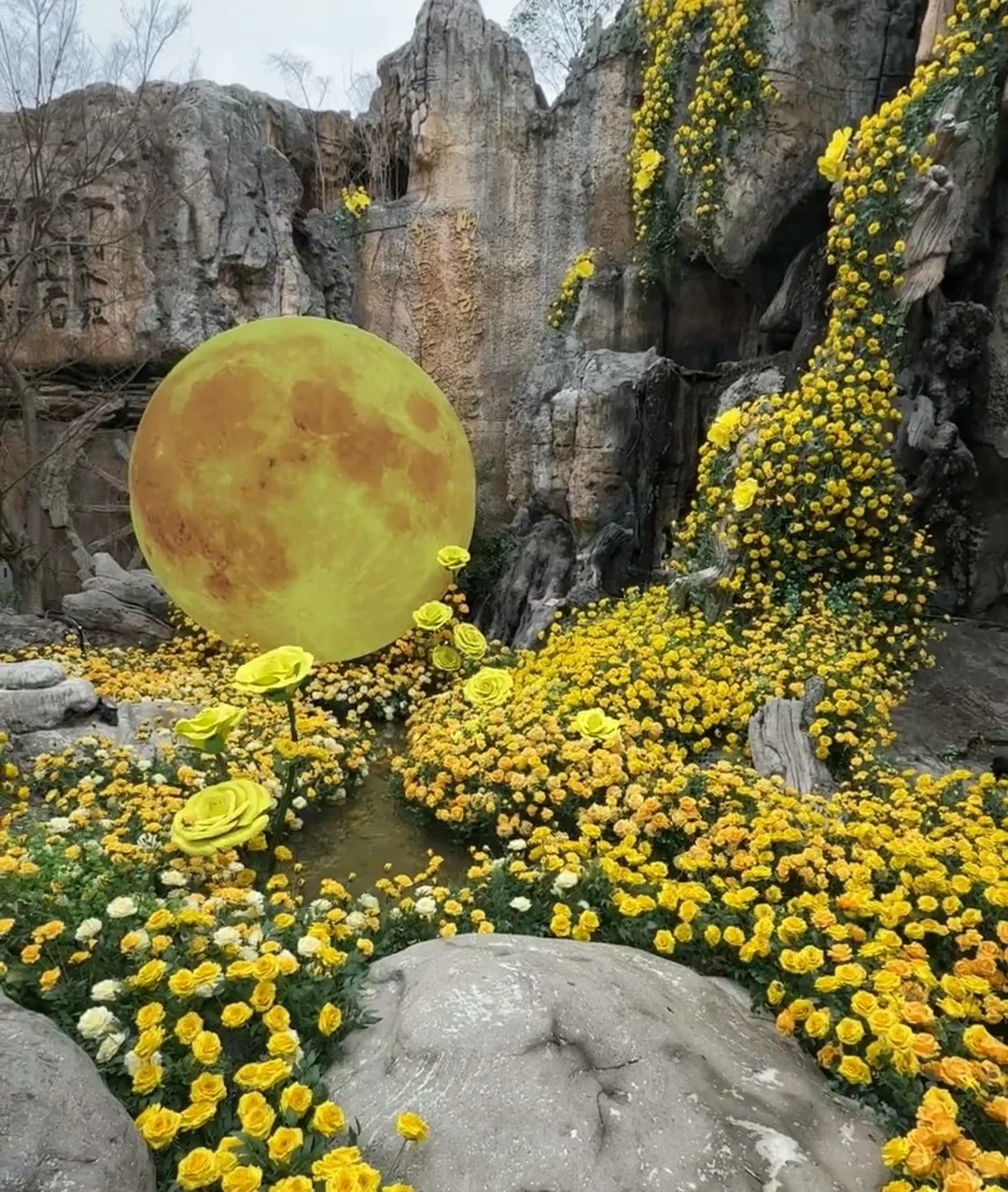 “特种兵旅游”藏在淹城的春日告白