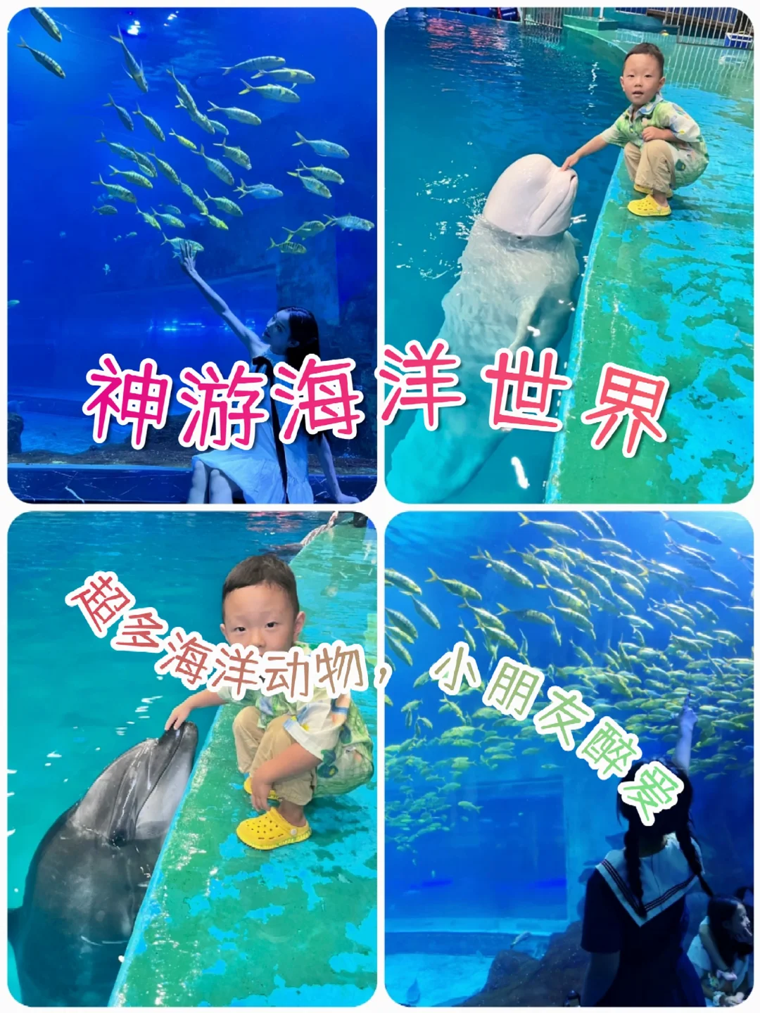 五一假期去青岛🌈5天只需1K+💰玩到嗨