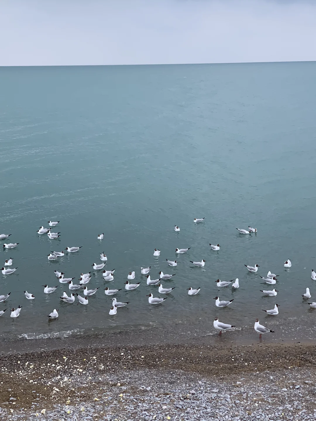 青海西宁｜大学生人均500r游玩必看攻略✅