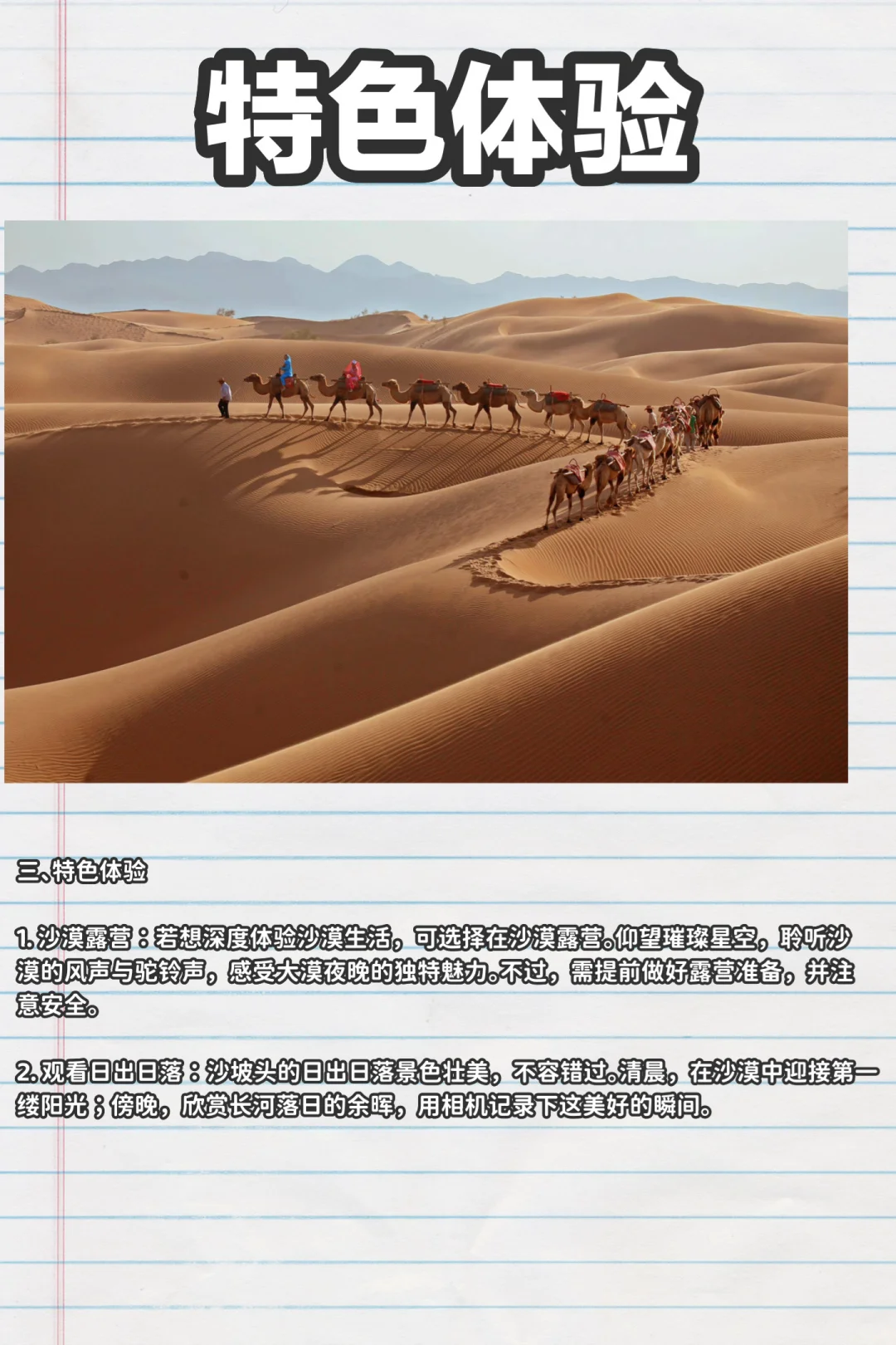 沙坡头旅游全攻略奔赴一场沙与河的浪漫之