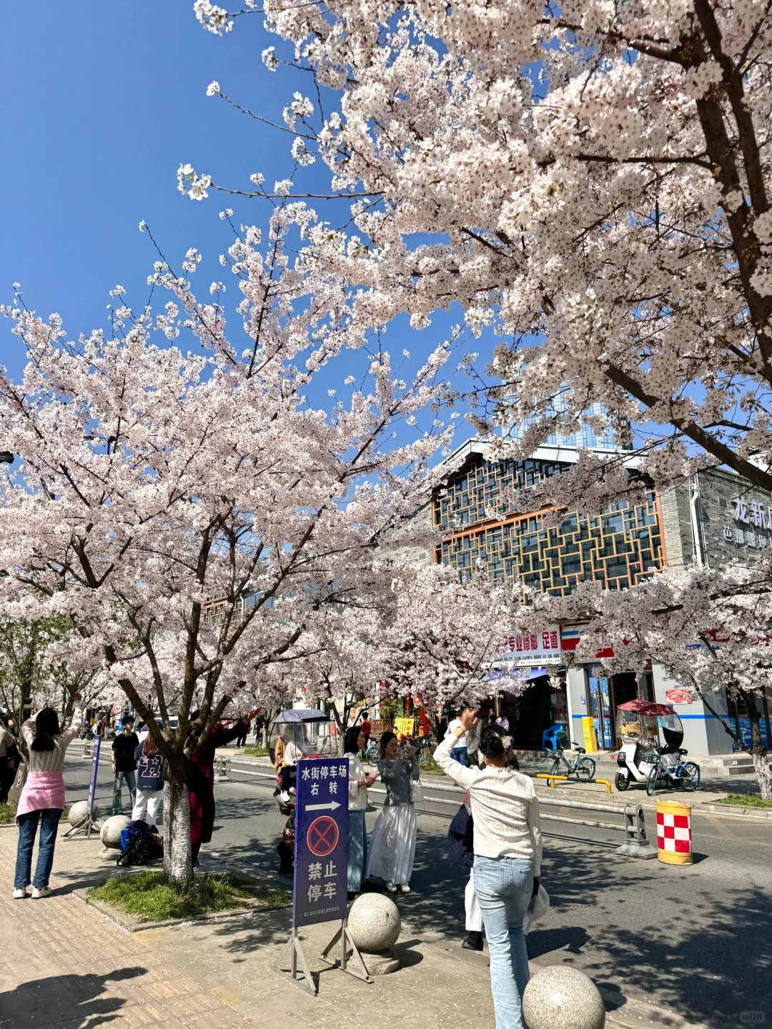 都江堰今天美哭了！！！！！！！