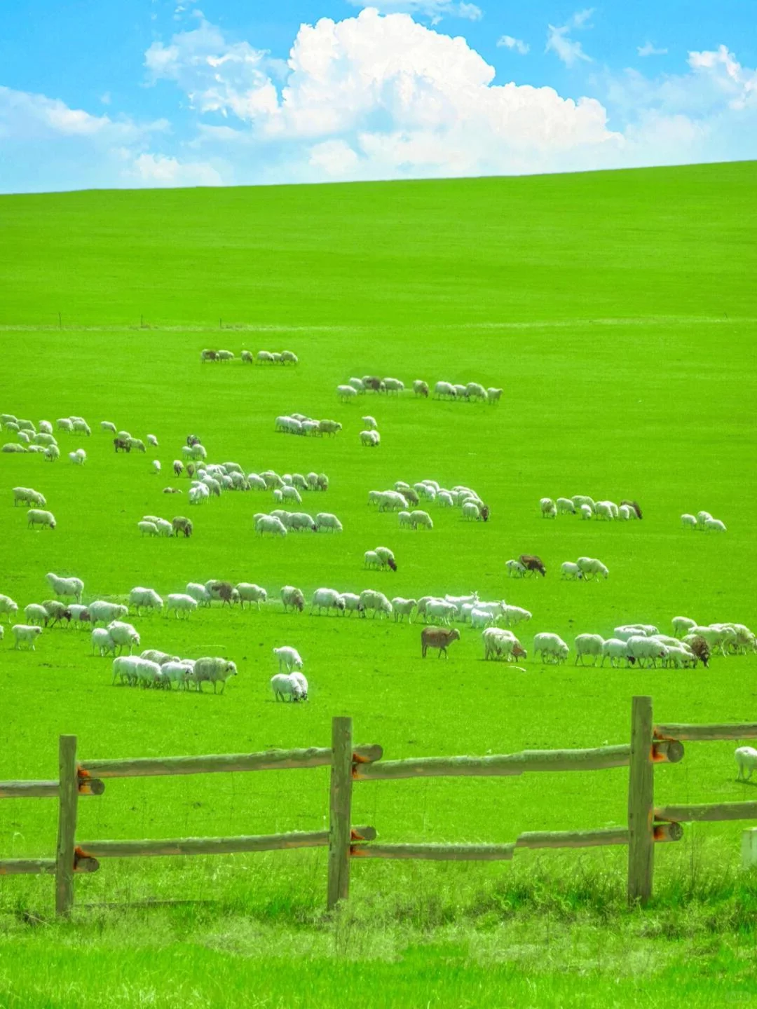 “达达线”24年被央视评为中国最美自驾路线