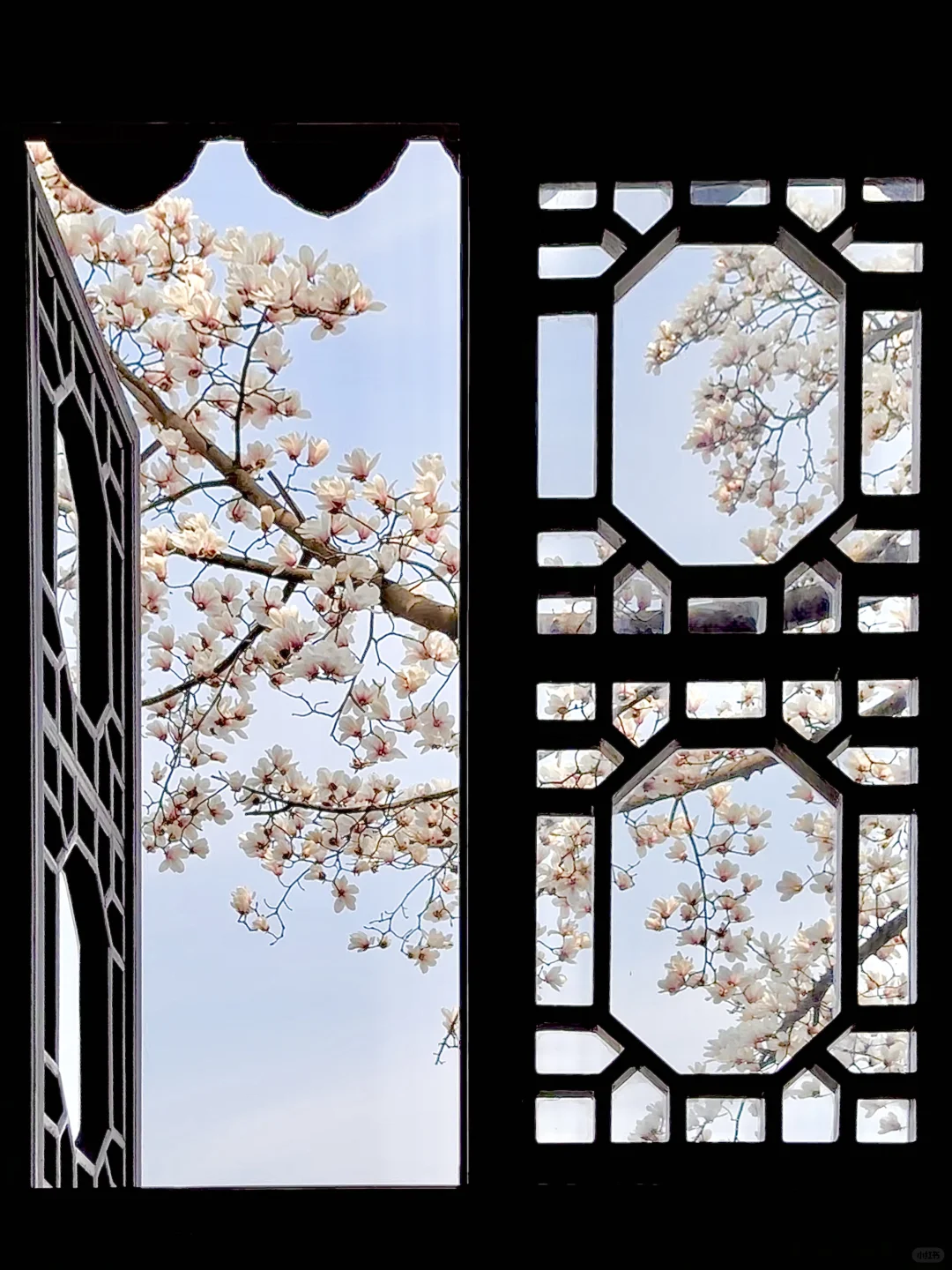 下个月的苏州，值得你专门来一趟……