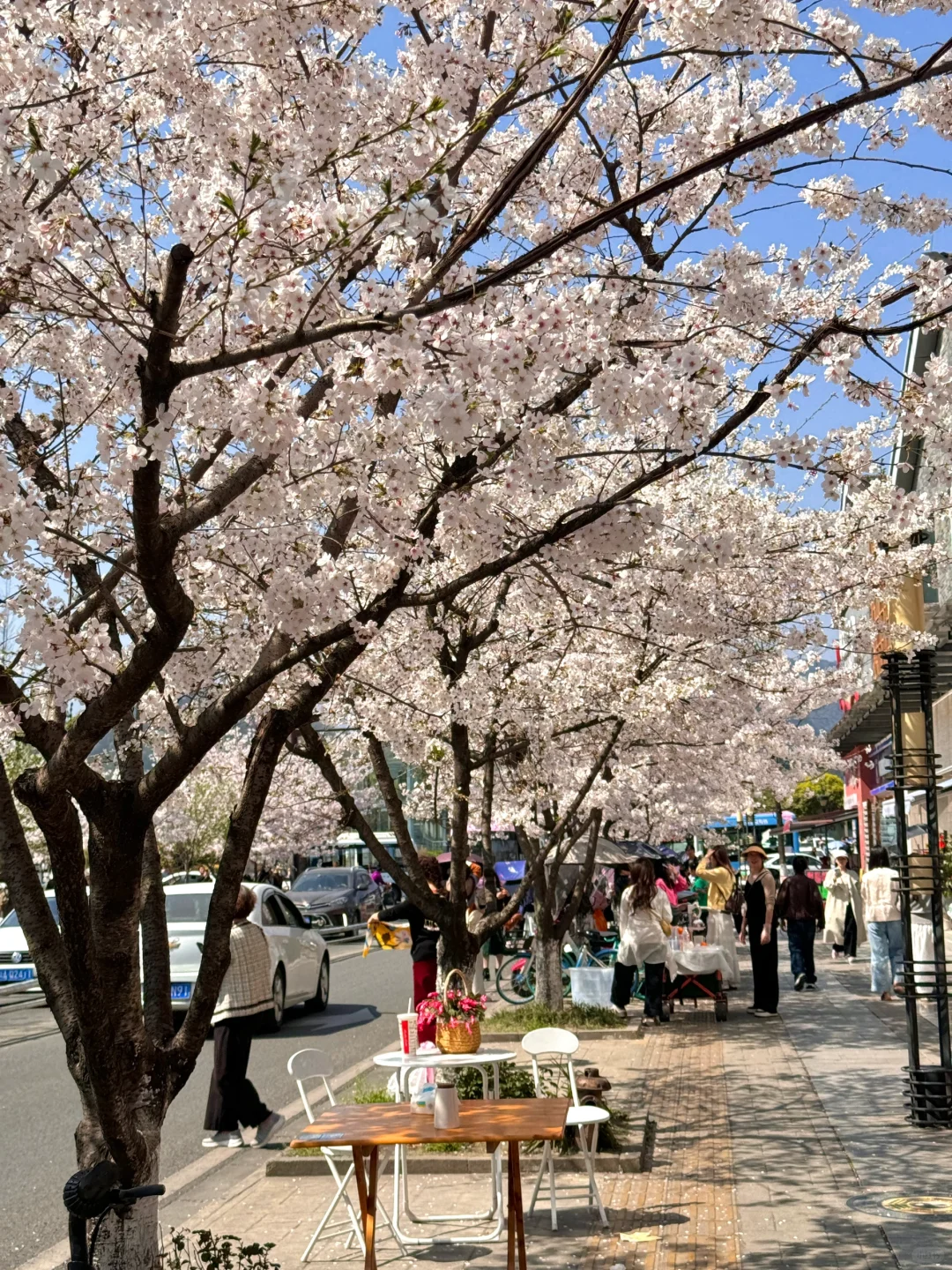 都江堰今天美哭了！！！！！！！