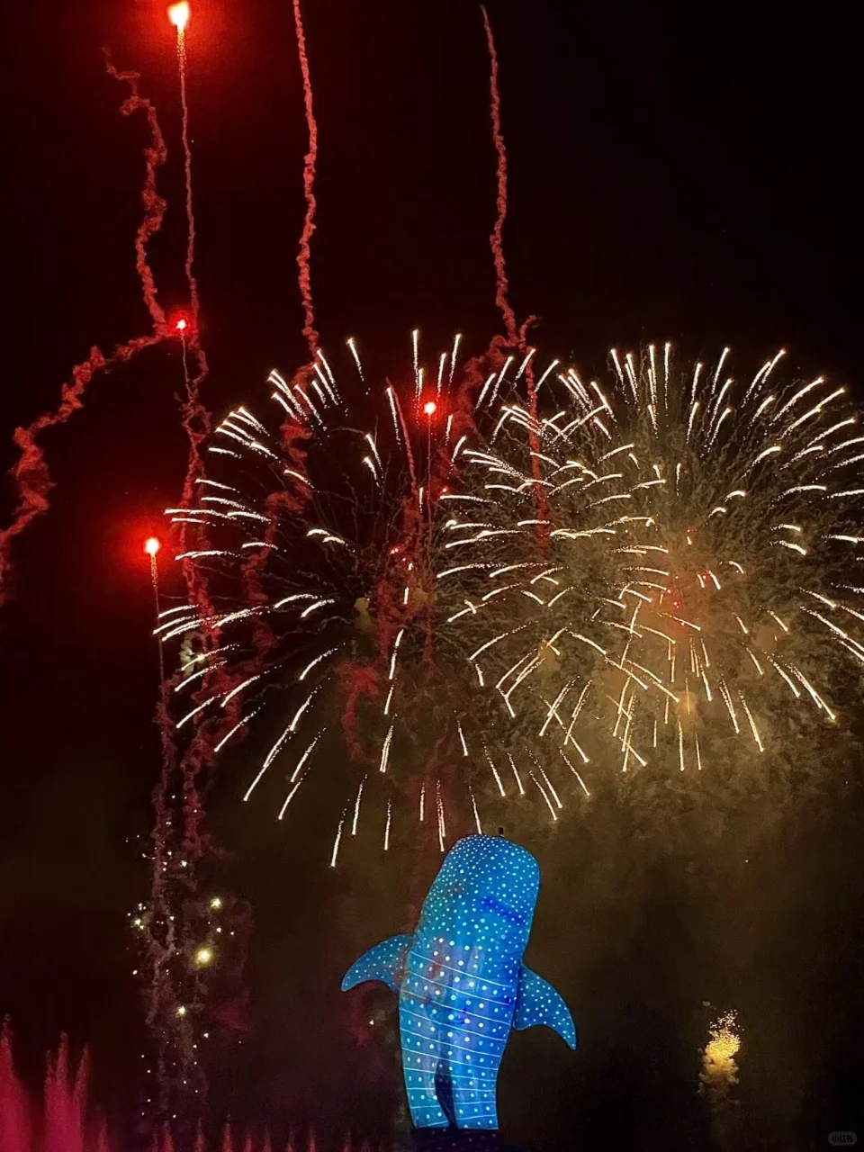 ✨珠海长隆|超全旅游攻略来咯！🌊🎢🐧