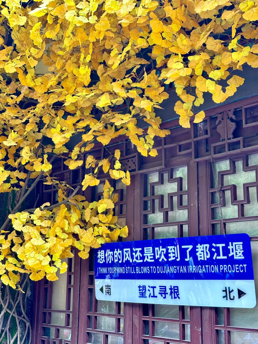 成都旅游攻略，女孩子建议去🆚不建议去‼️