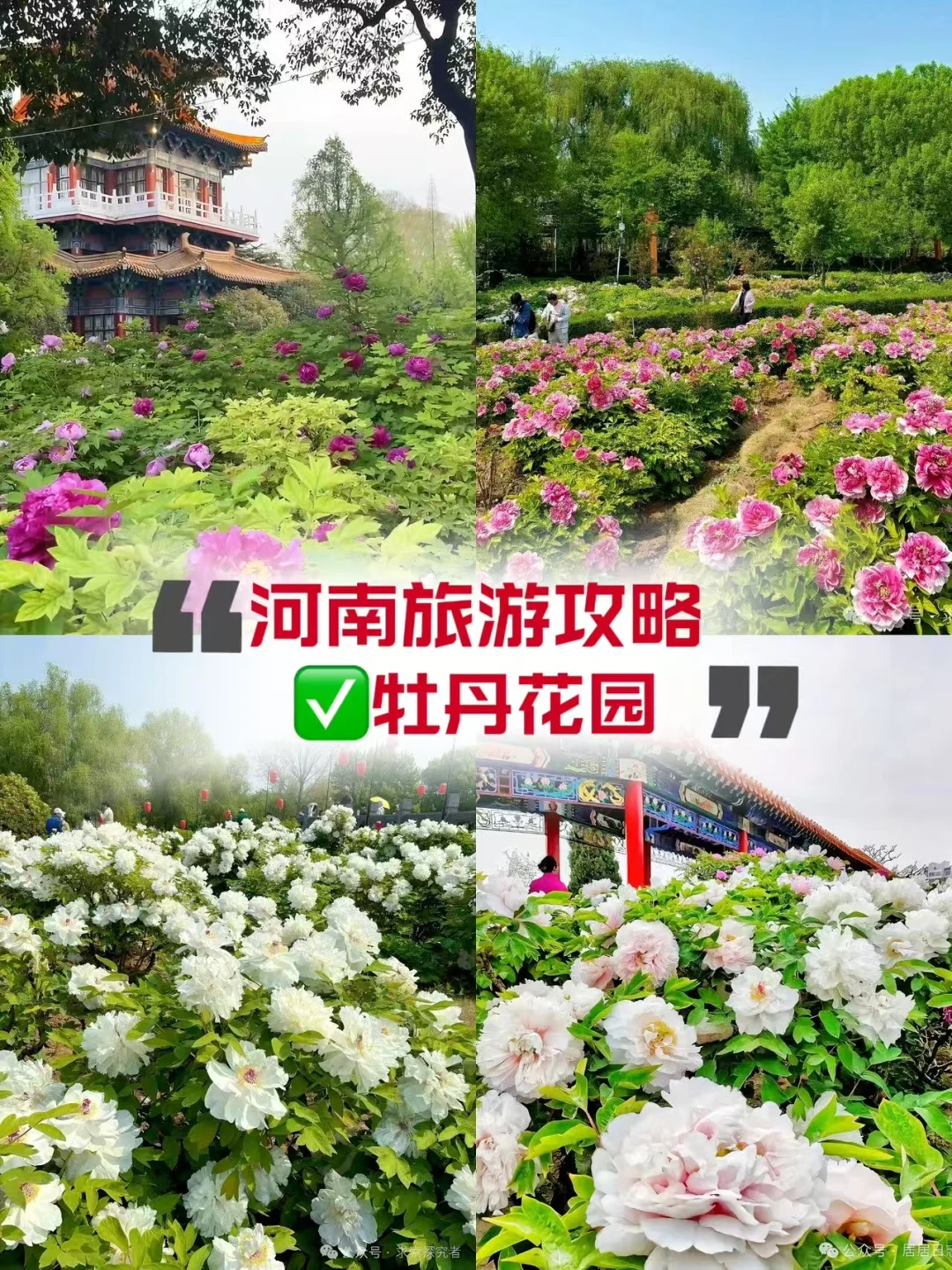 一眼心动❗河南4天3晚✔纯玩私享体验感拉满