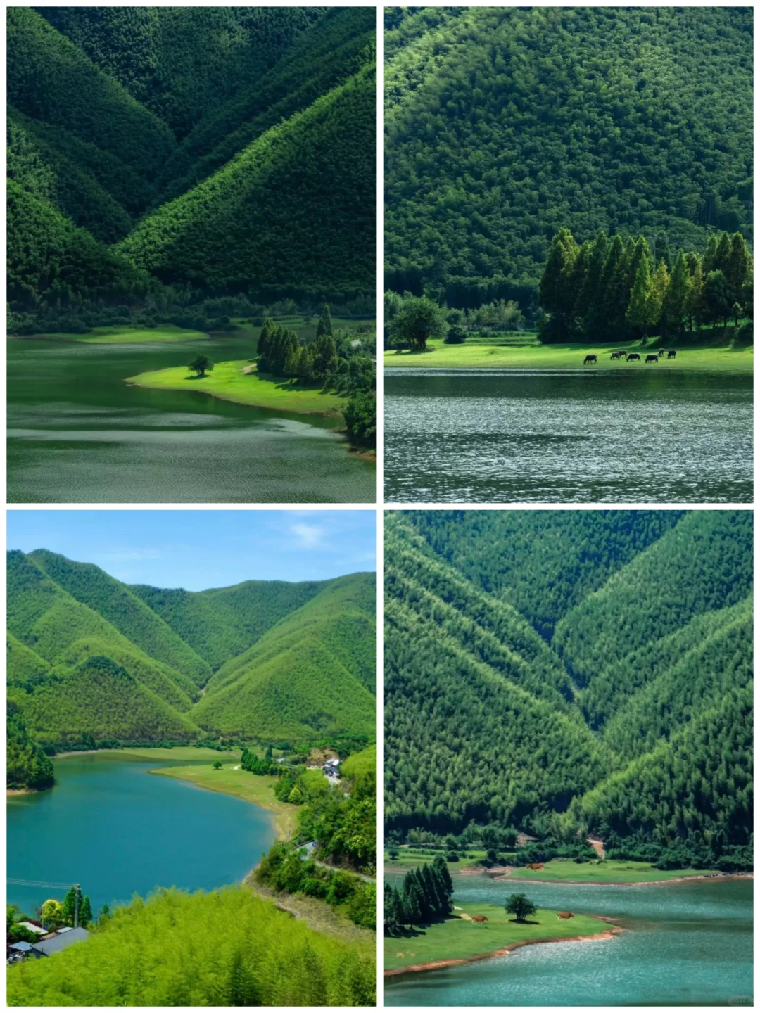 周末去一趟江浙沪版本的阿勒泰-安吉小杭坑