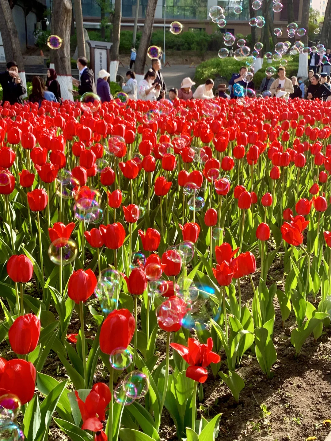 青海西宁｜大学生人均500r游玩必看攻略✅