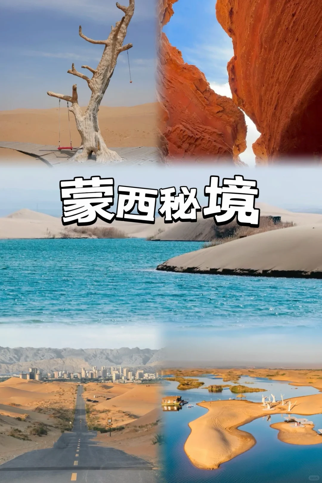 爆哭😭清明踏青直接封神📸朋友圈C位预定❗️