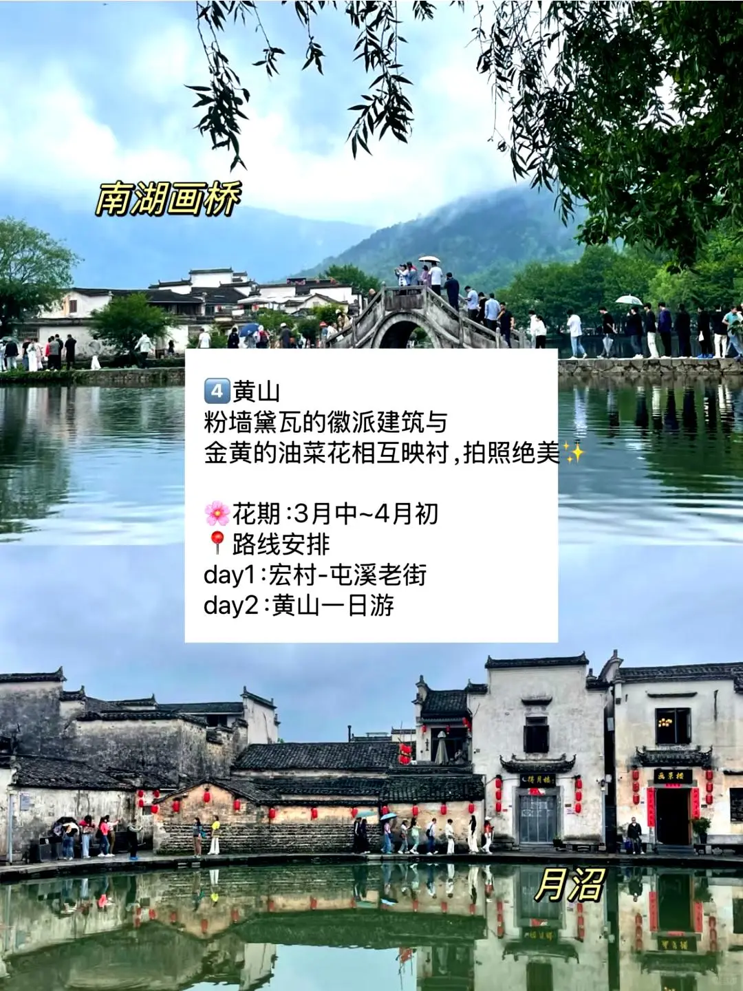 春游好去处🌼适合三到四月踏青的九座城市