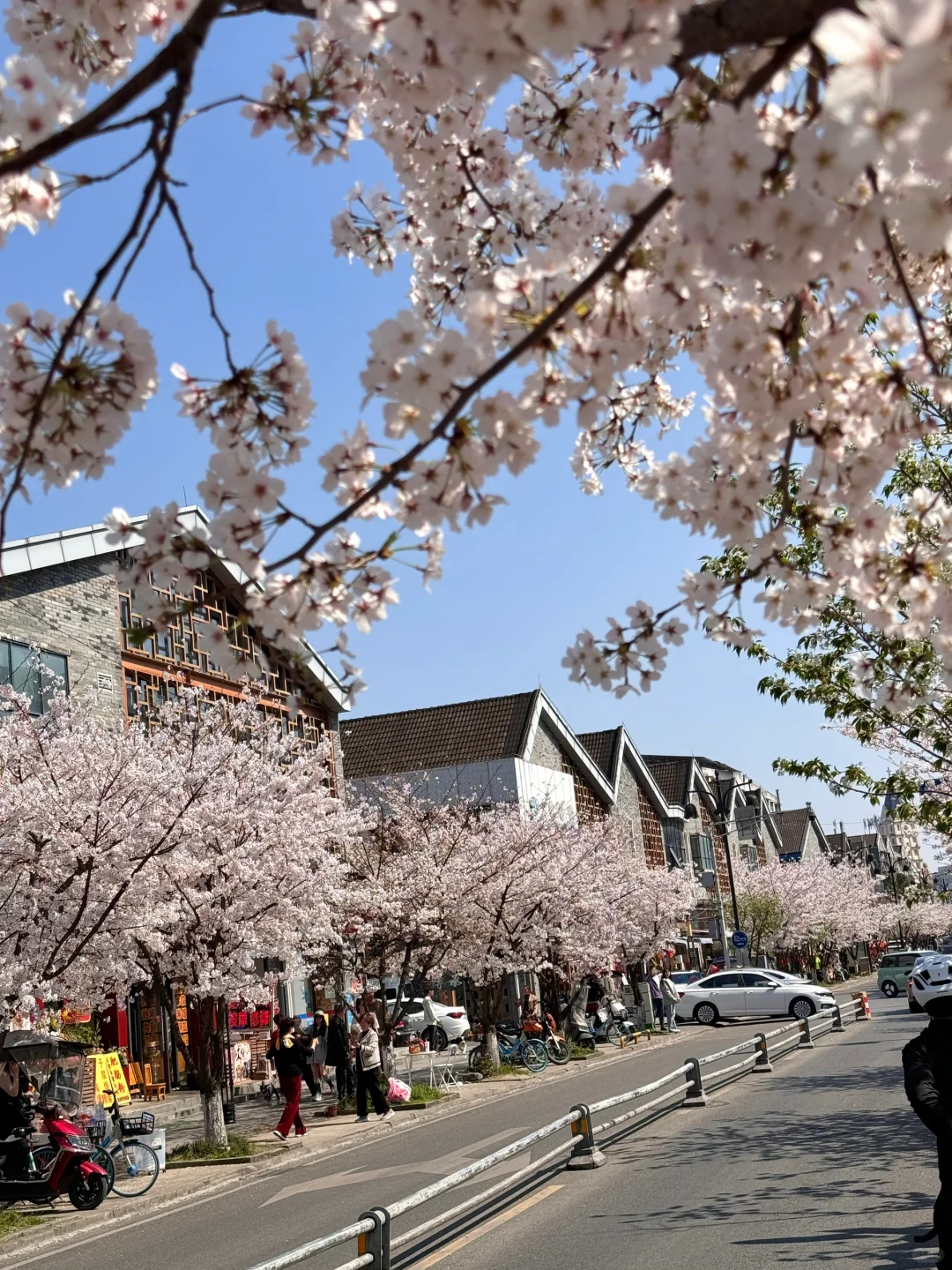 都江堰今天美哭了！！！！！！！