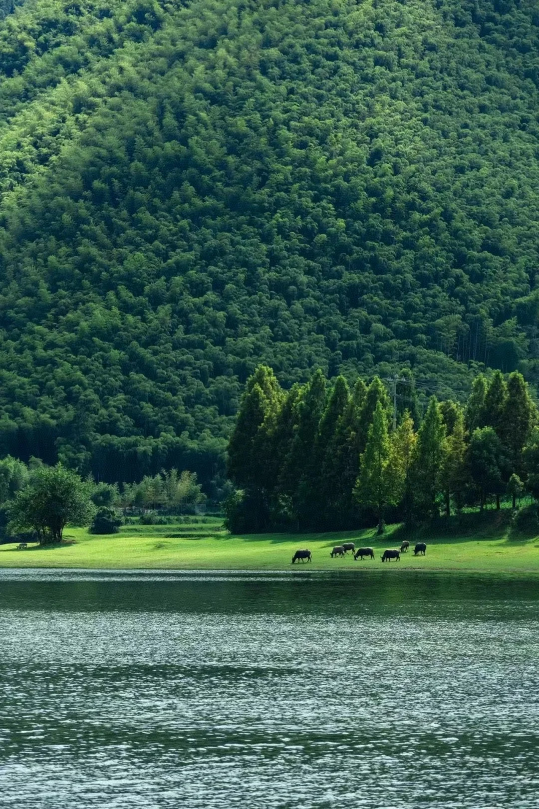 周末去一趟江浙沪版本的阿勒泰-安吉小杭坑