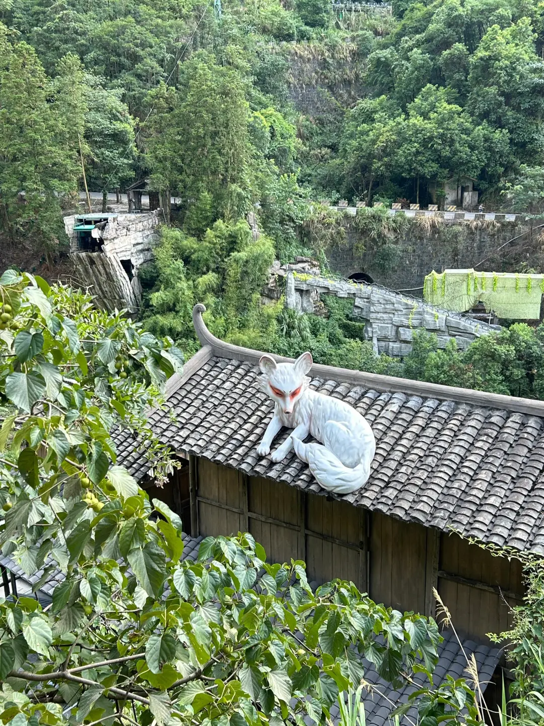 3.25📍张家界跟团旅游攻略不踩坑分享