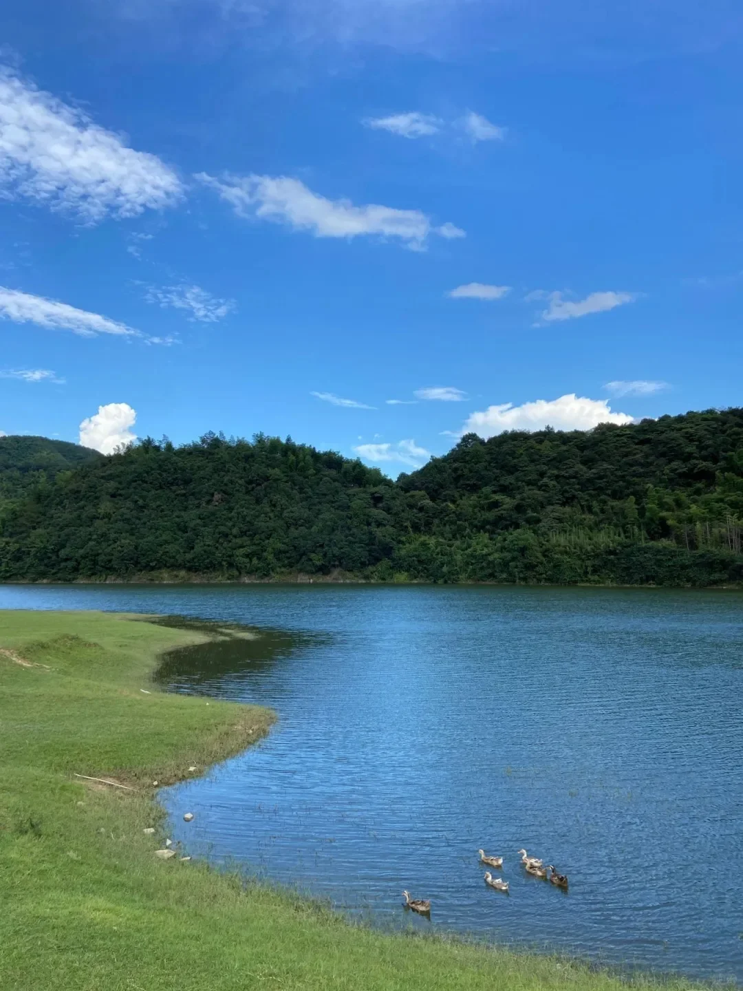 周末去一趟江浙沪版本的阿勒泰-安吉小杭坑