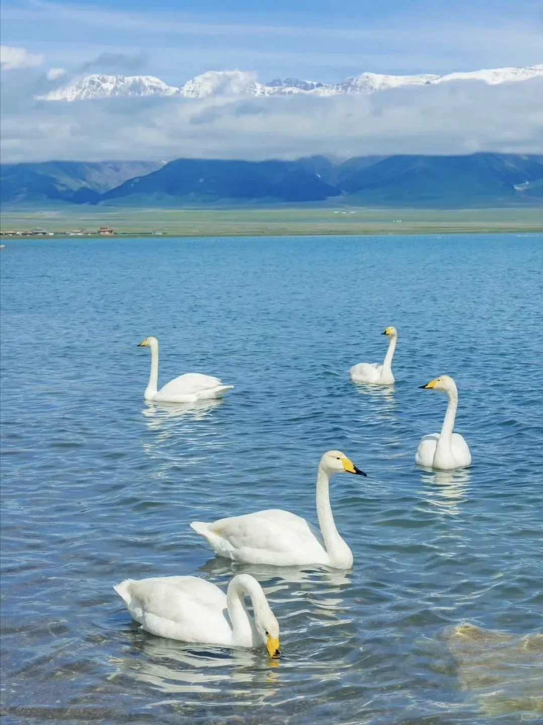 反向旅游｜5月就去新疆，别等6月人挤人