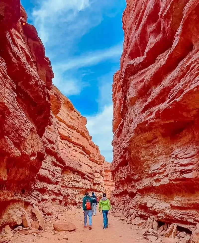 ❗北京清明去哪|推荐的7个宝藏反向出行地