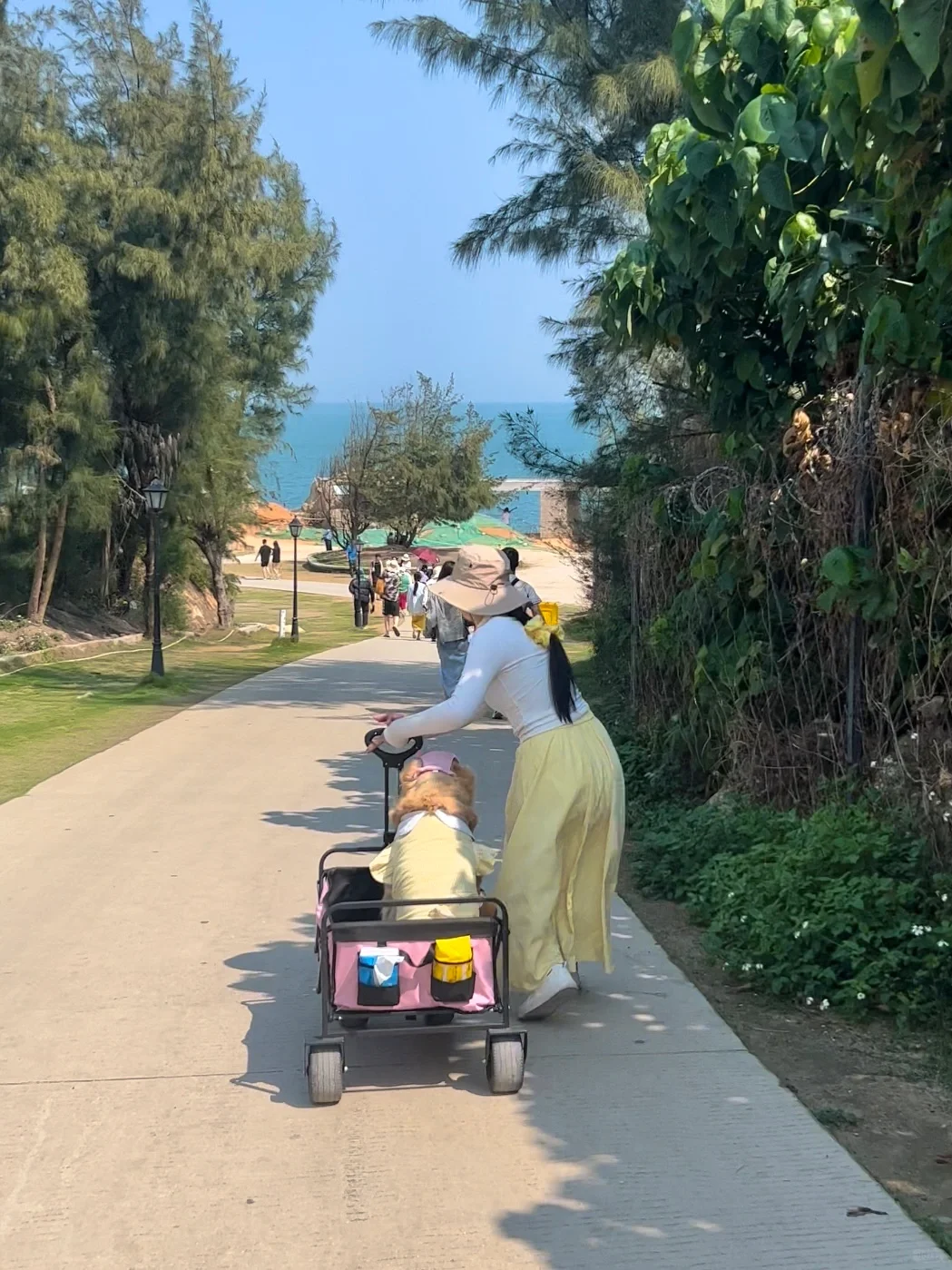 汕尾旅游景点攻略｜海上古堡｜古堡咖啡