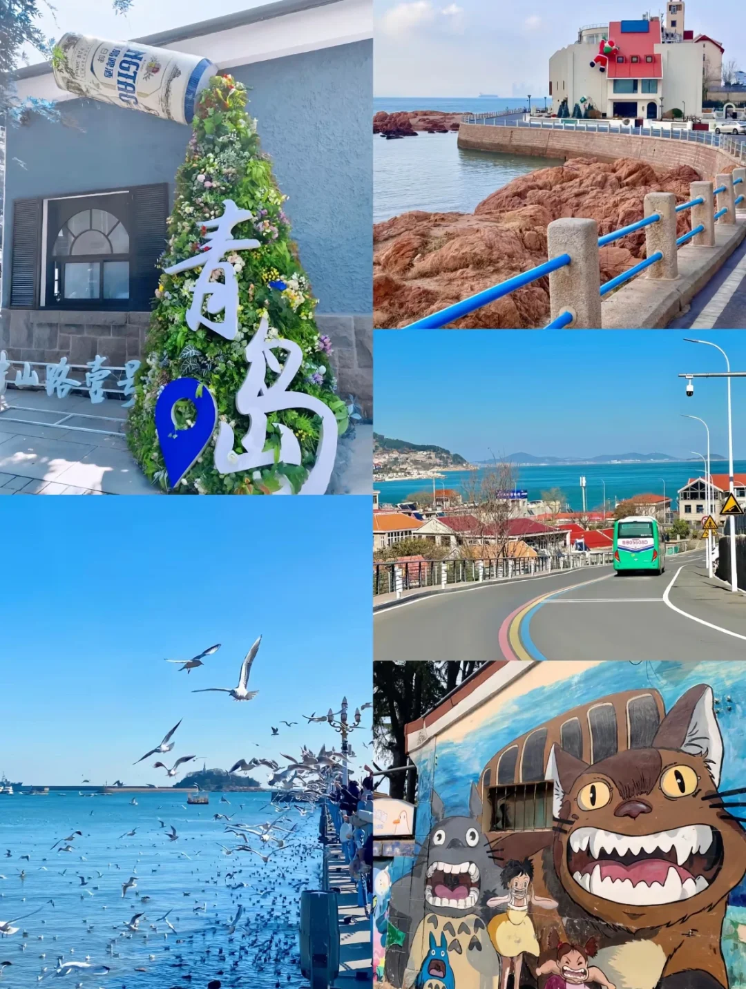 环渤海海滨城市 今年要看海的不要错过啦🥳