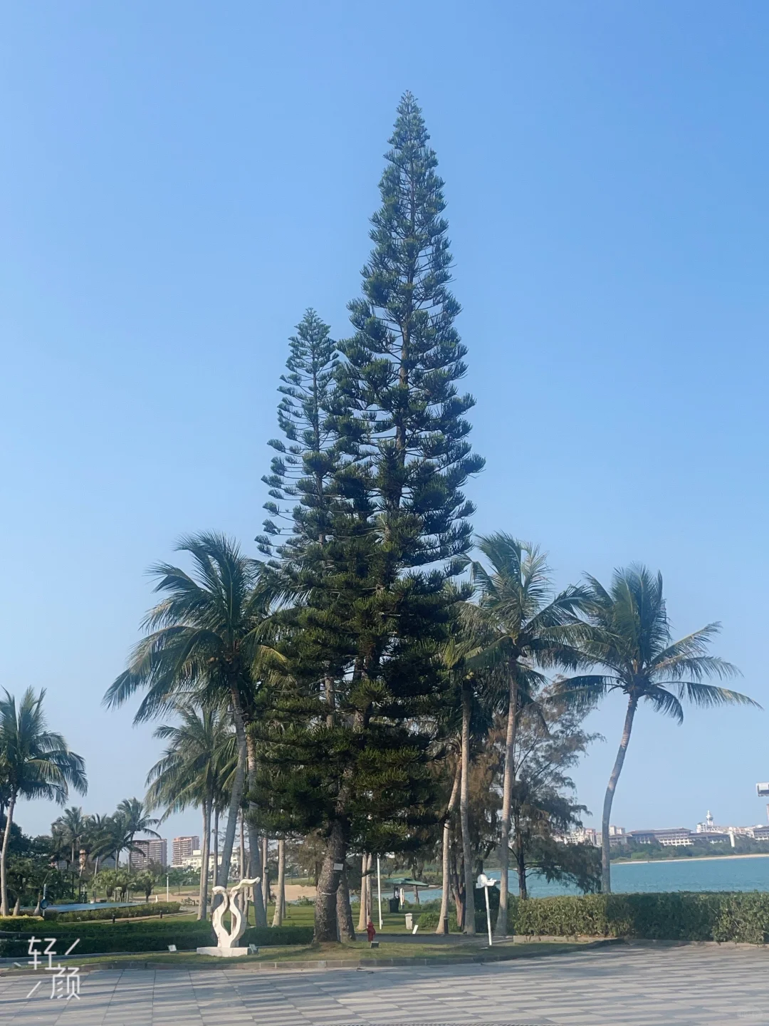 海南旅游最佳选择