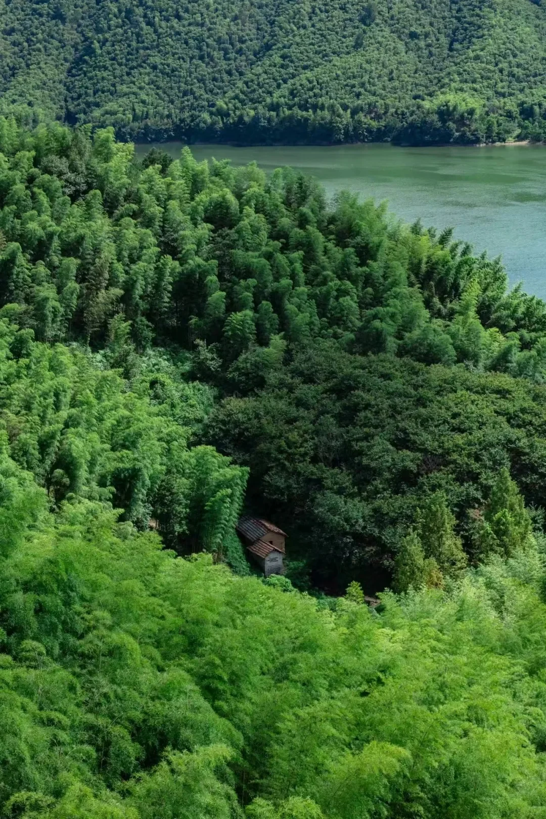 周末去一趟江浙沪版本的阿勒泰-安吉小杭坑