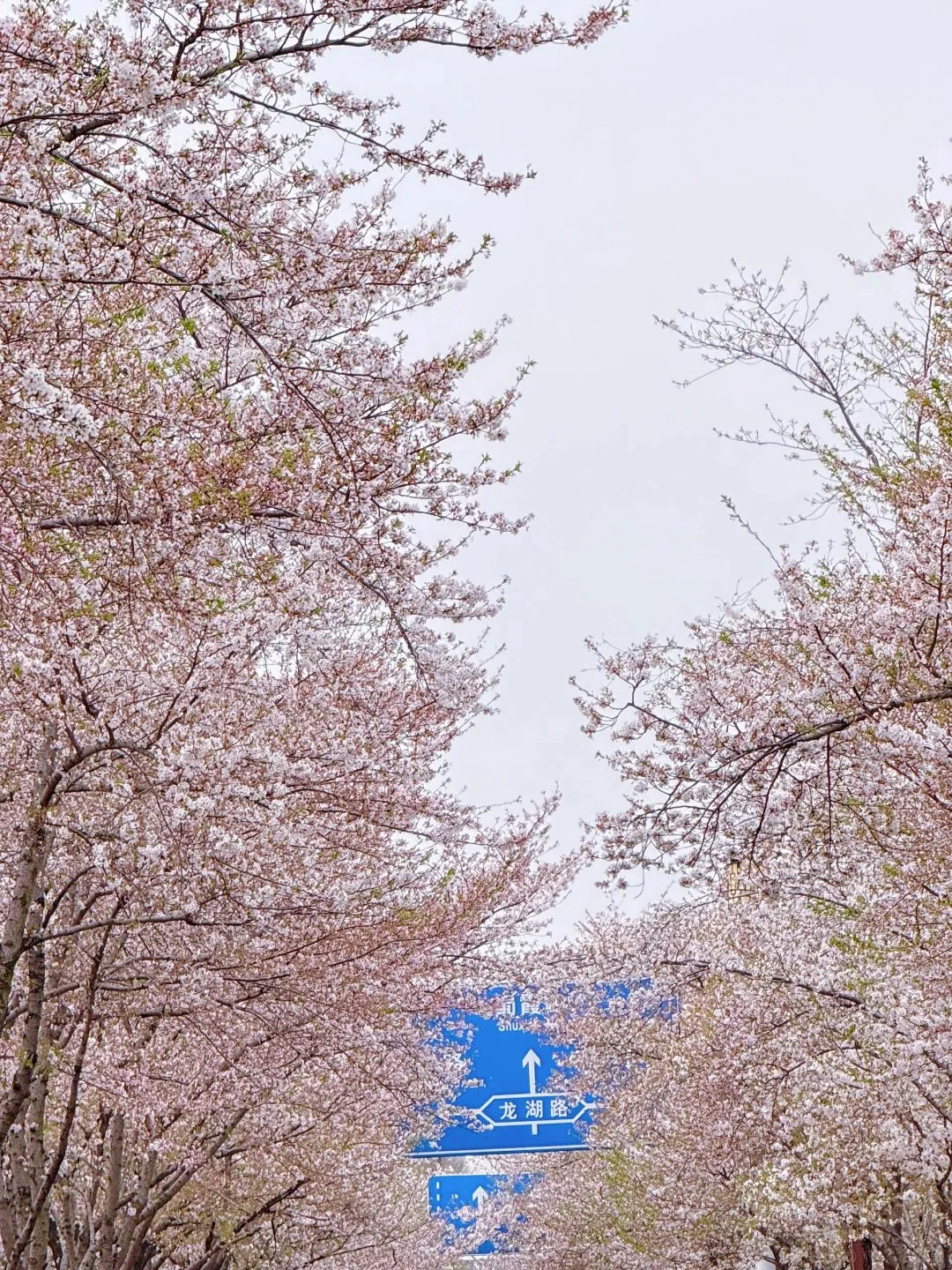 扬州2人2天旅游攻略