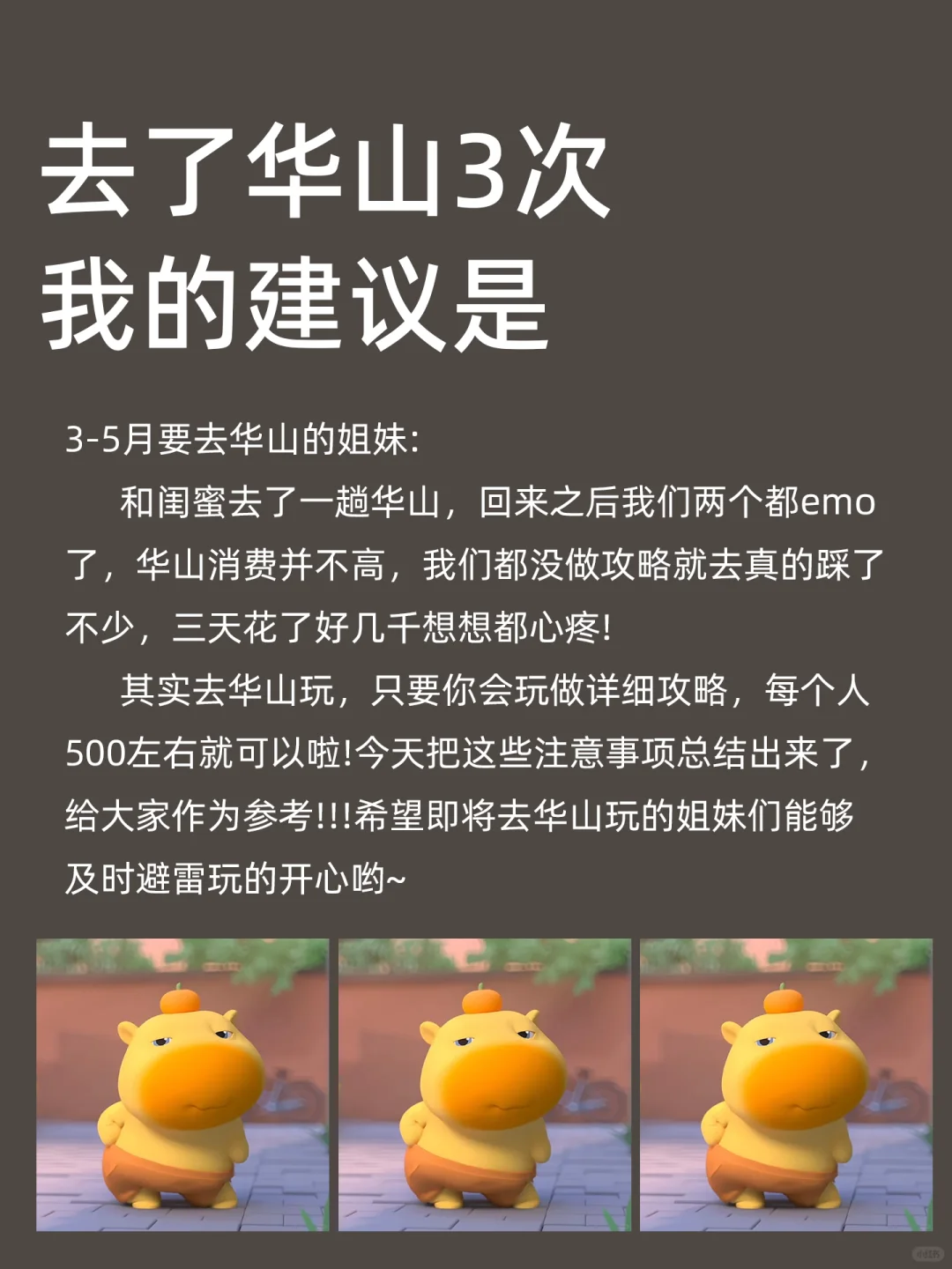 华山旅游攻略！！超全版！持续更新中🌟