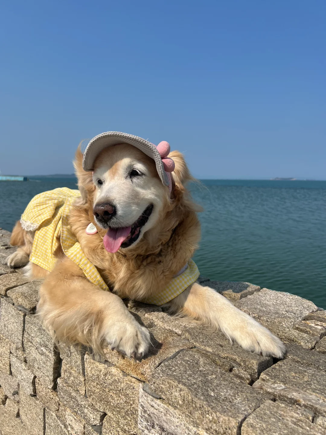 汕尾旅游景点攻略｜海上古堡｜古堡咖啡