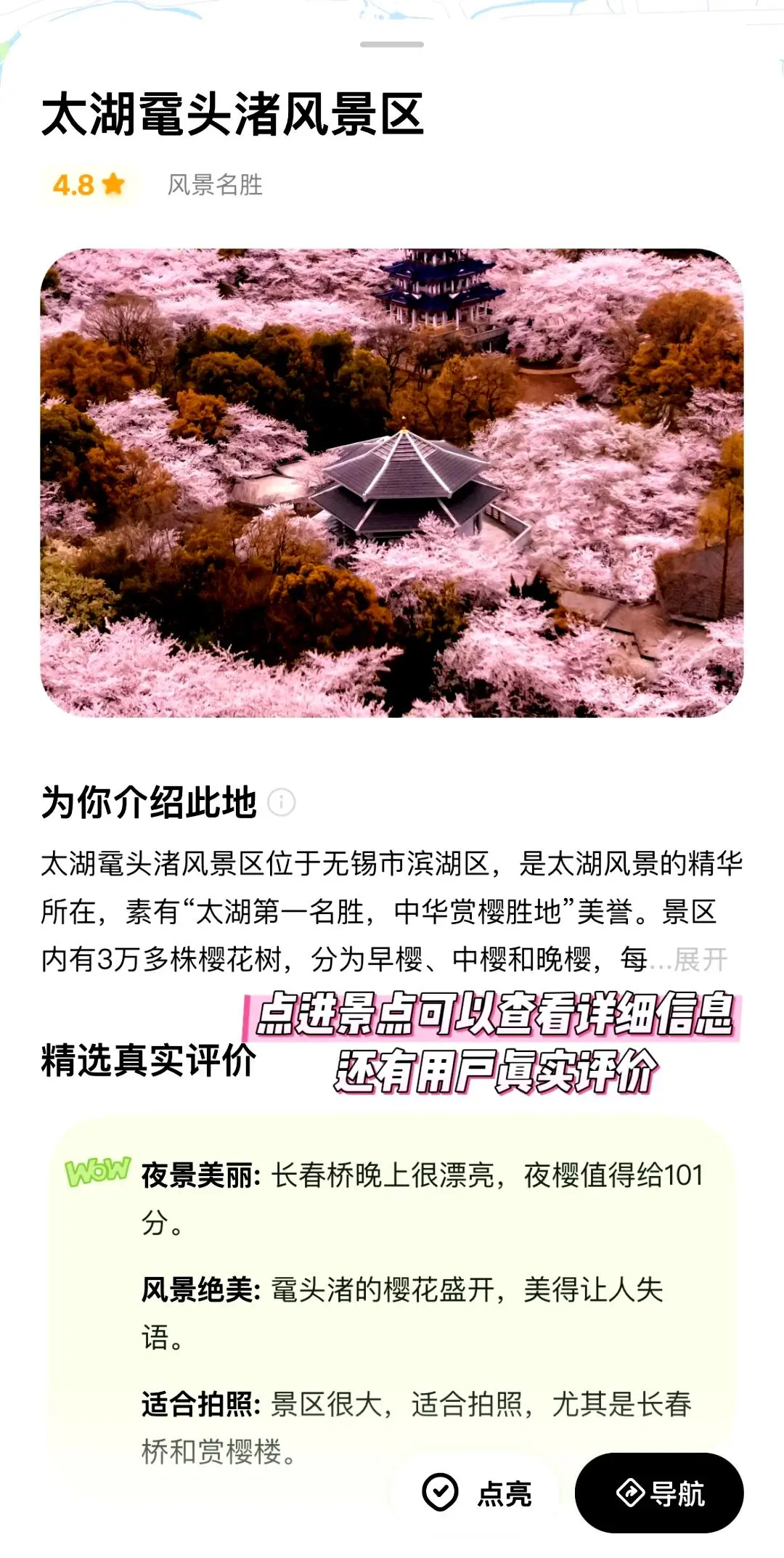 春游好去处🌼适合三到四月踏青的九座城市