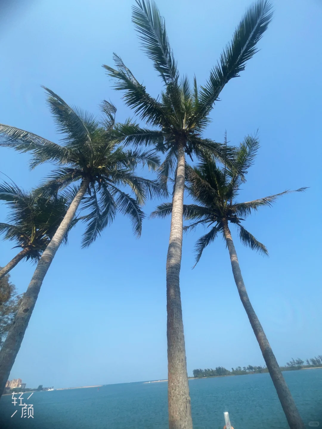 海南旅游最佳选择