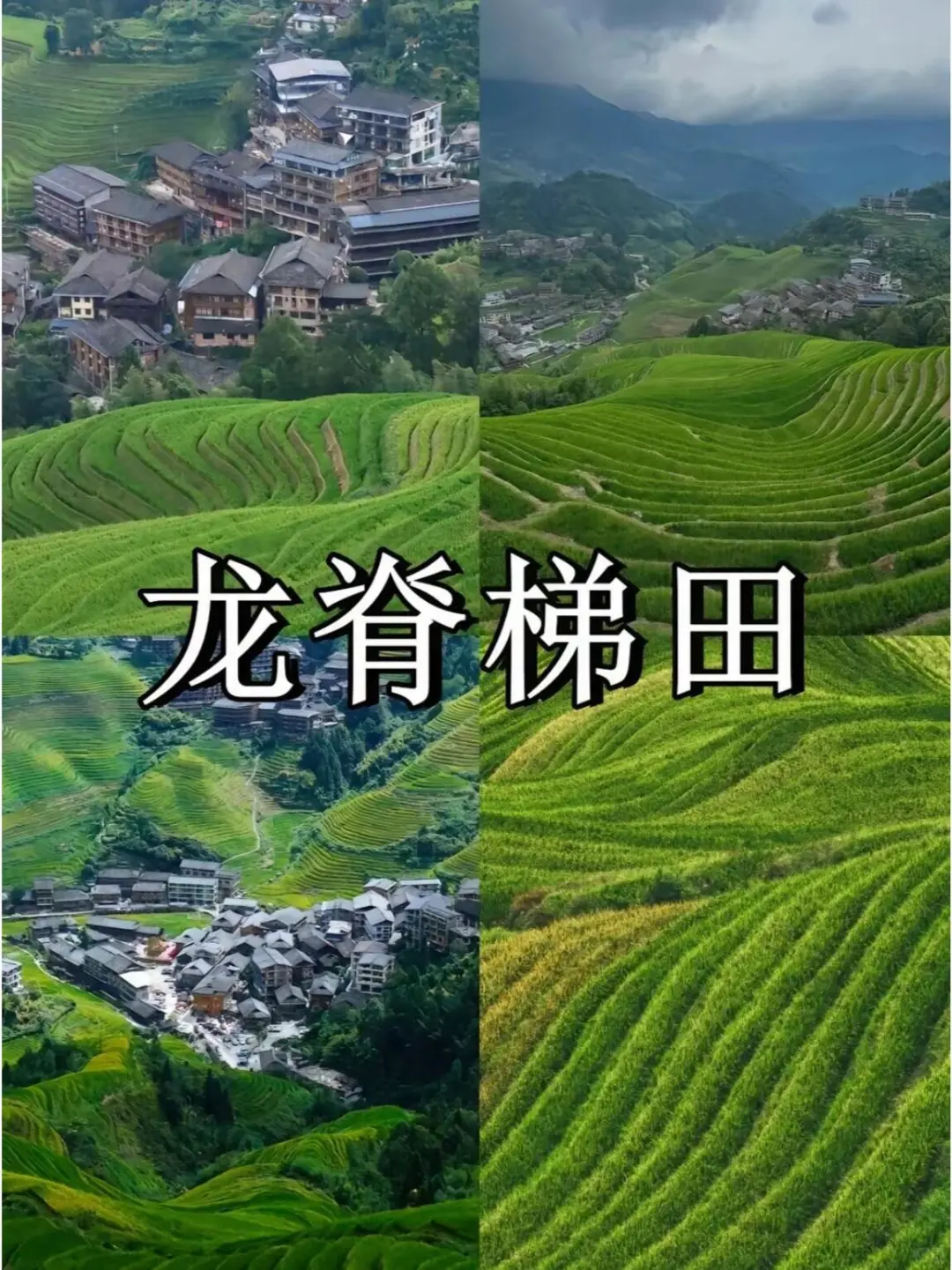 广西旅游保姆级攻略！不想踩雷，看这篇就够