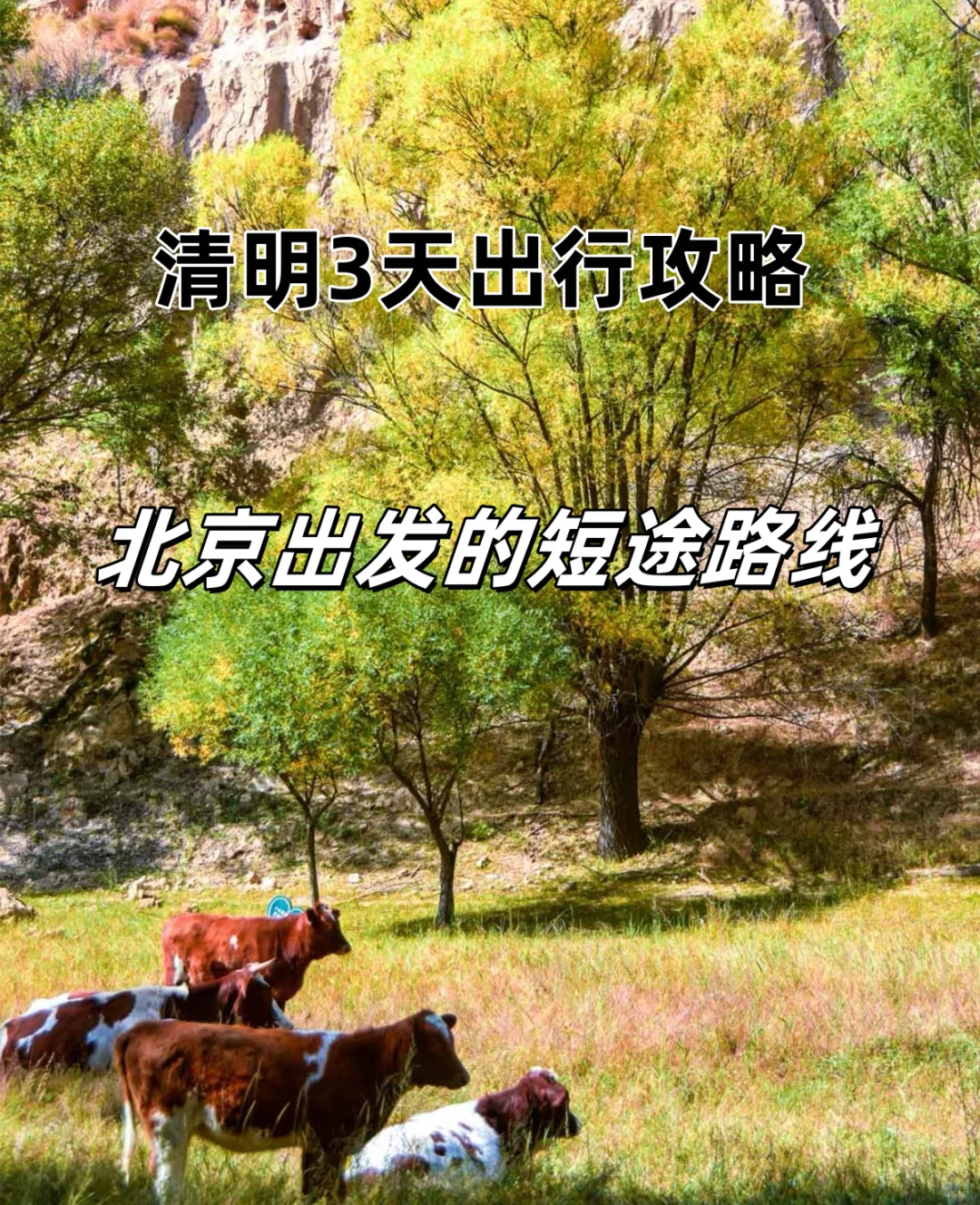 ❗北京清明去哪|推荐的7个宝藏反向出行地