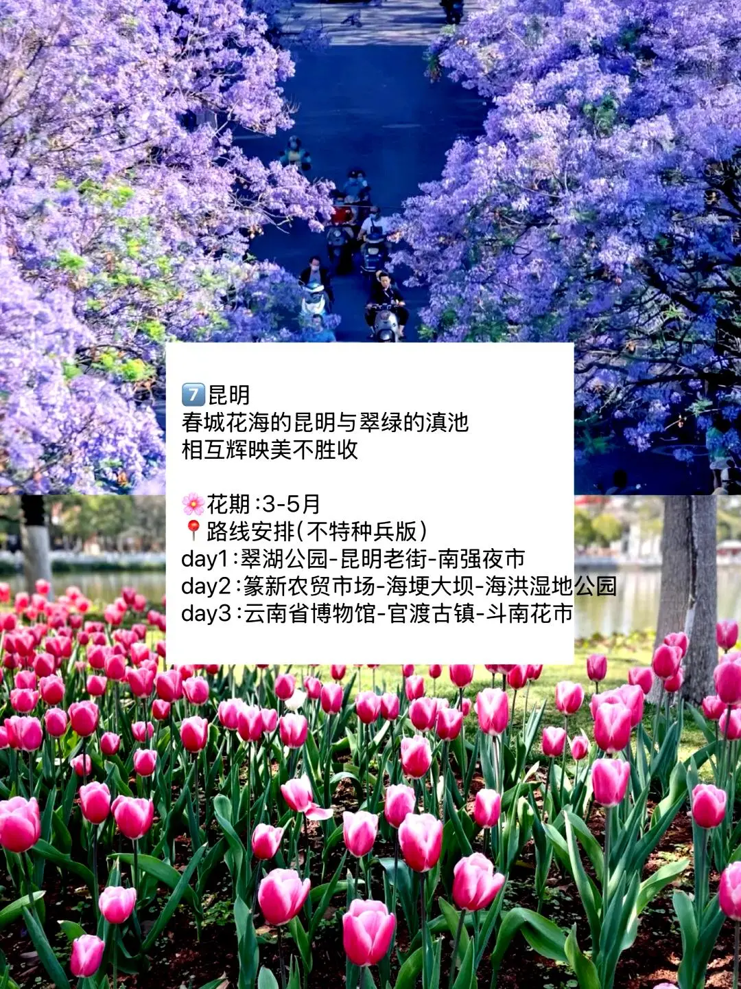 春游好去处🌼适合三到四月踏青的九座城市