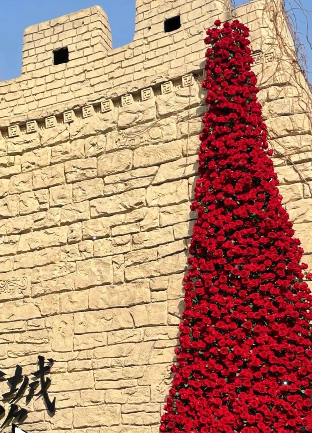 “特种兵旅游”藏在淹城的春日告白