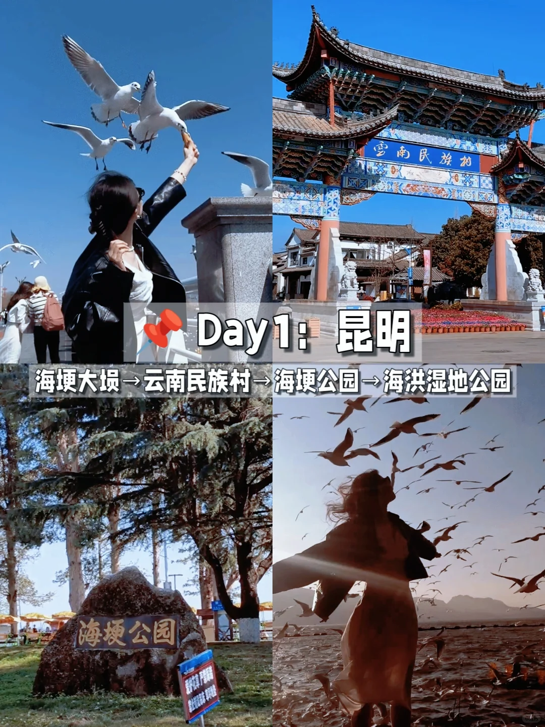 女大学生一人勇闯云南：八天七晚自由行攻略