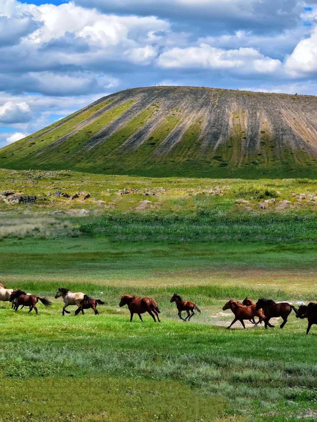 清明北京出发🚘2-4日旅行地推荐