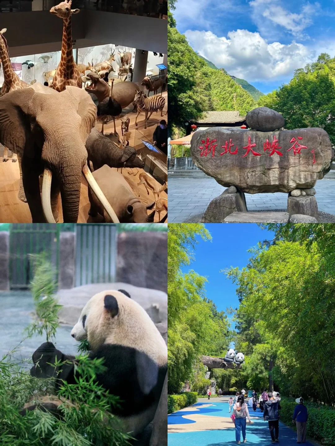 江浙沪周边景点 | 必去的旅游地✅不容错过