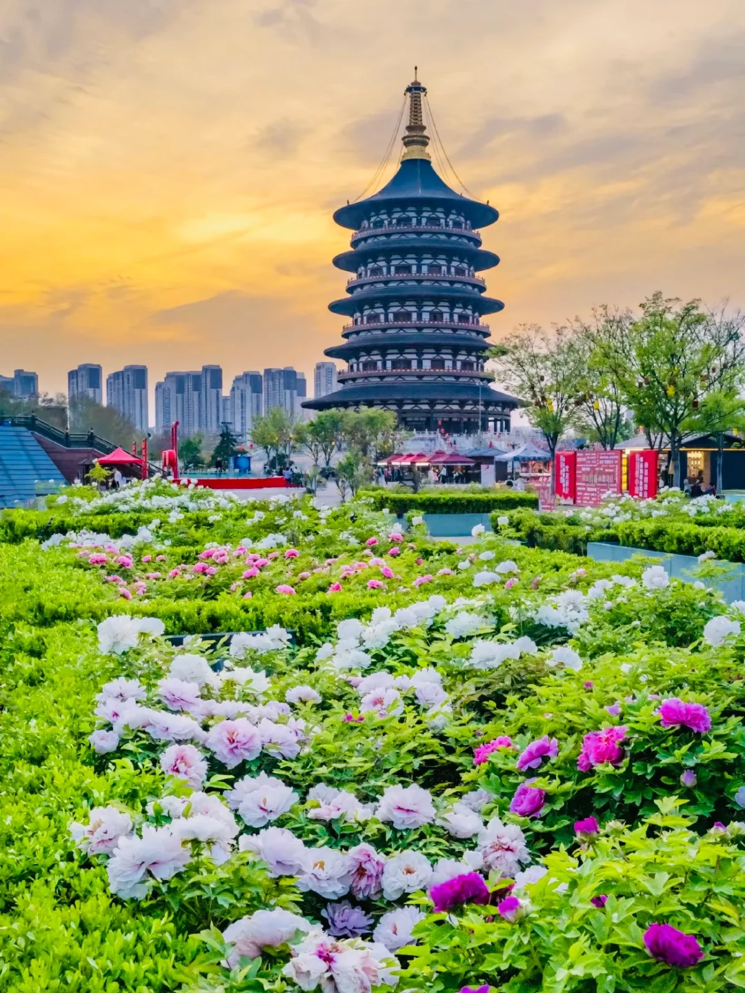 【洛阳48小时】人均300+攻略来啦！