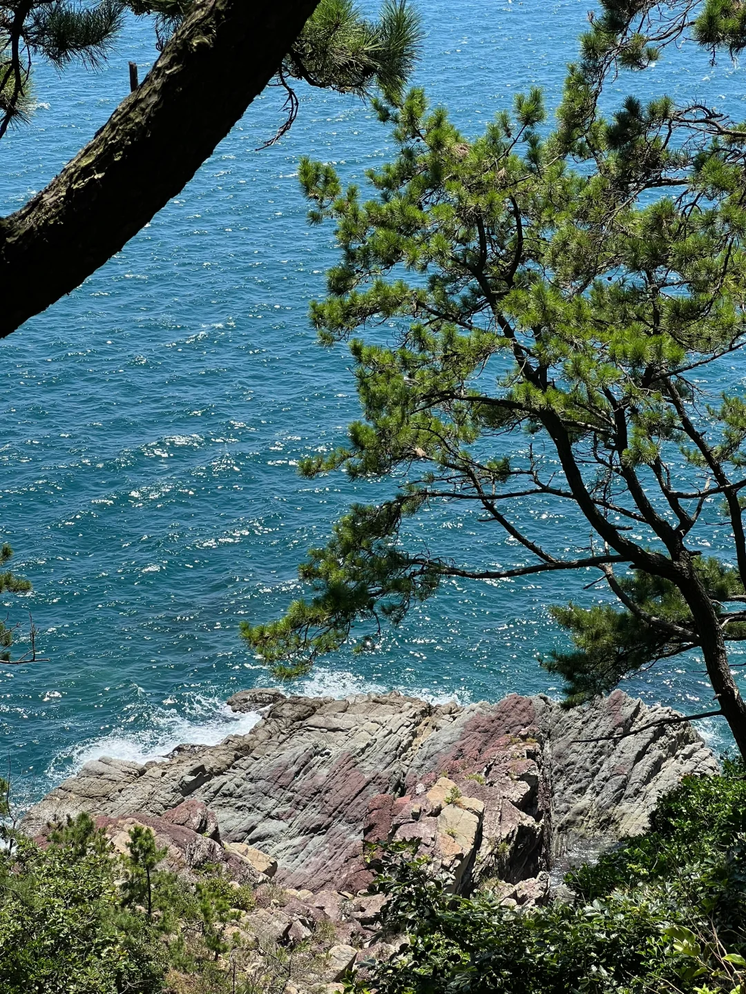 🚠釜山｜原图直出的好天气🫧