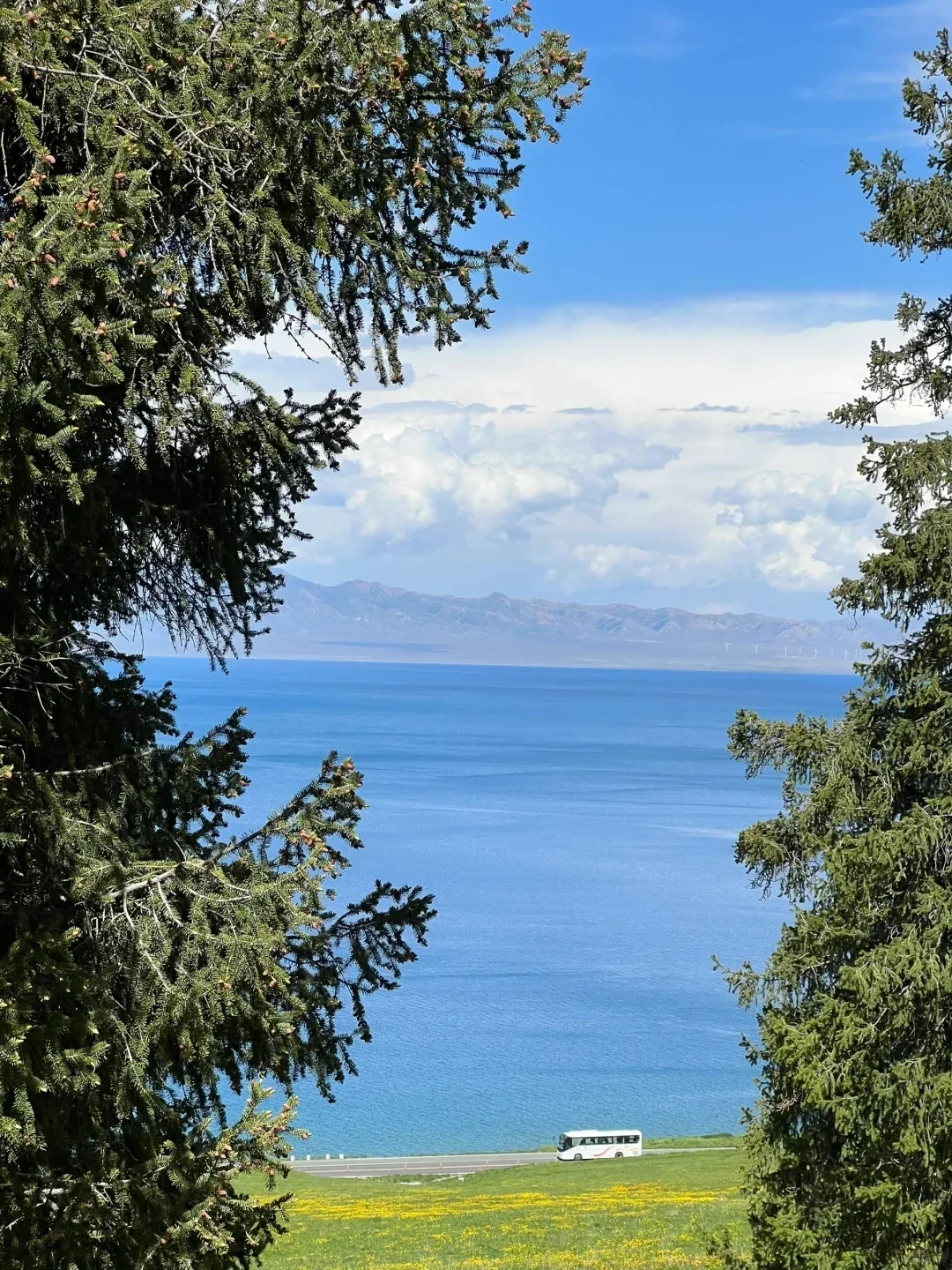 反向旅游｜5月就去新疆，别等6月人挤人