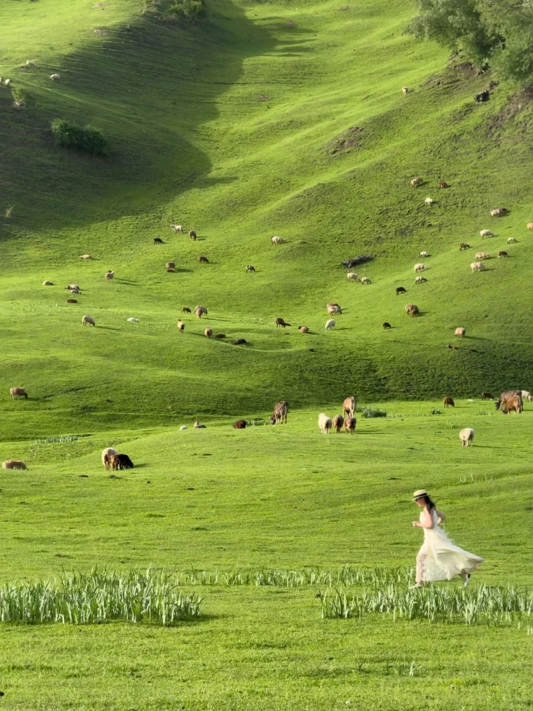 “达达线”24年被央视评为中国最美自驾路线